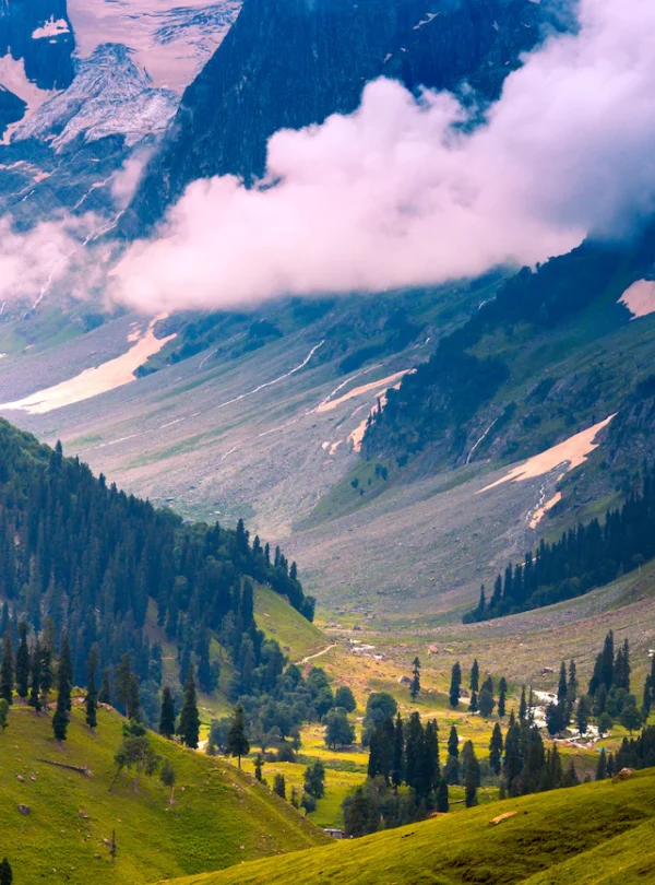 Kashmir